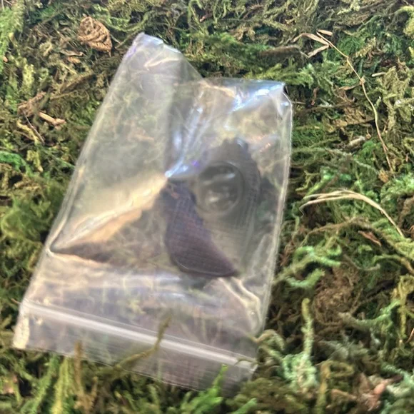 Cactus Pin - Picture 3 of 3